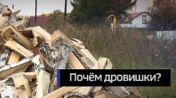 Алтайский край оказался в тройке регионов по дороговизне дров