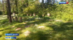 Экс-житель Славгорода организовал патриотическую акцию на кладбище в Дрездене