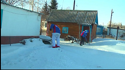 Больше 500 студентов отправятся трудиться в районы Алтайского края