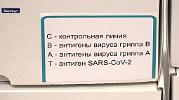 Поликлиники Алтайского края начали получать экспресс-тесты на вирус гриппа