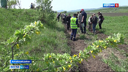 В селе Алтайском в честь погибших во время ВОВ земляков посадили аллею